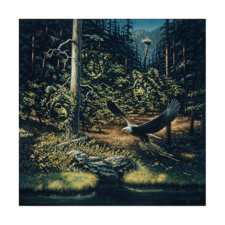 John Van Straalen 'Forest Sentinel' Canvas Art,35x35